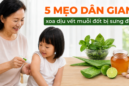 5 mẹo dân gian xoa dịu vết muỗi đốt bị sưng đỏ