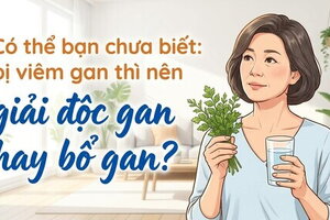 Có thể bạn chưa biết: bị viêm gan thì nên giải độc gan hay bổ gan?