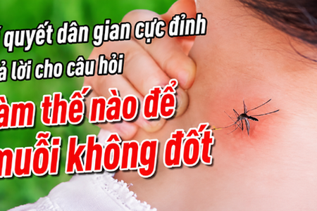 Bí quyết dân gian trả lời cho câu hỏi làm thế nào để muỗi không đốt