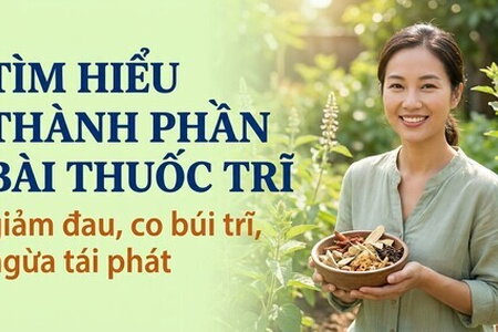 Tìm hiểu thành phần bài thuốc trĩ giảm đau, co búi trĩ, ngừa tái phát