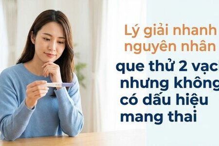 Lý giải nguyên nhân que thử 2 vạch nhưng không có dấu hiệu mang thai