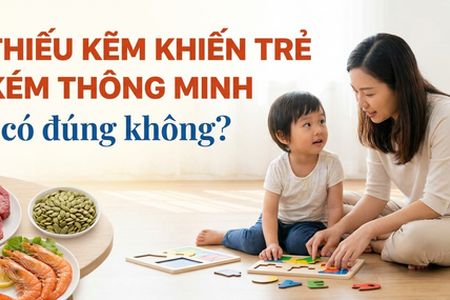 Thiếu kẽm khiến trẻ kém thông minh: có đúng không?