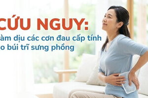 Cứu nguy: làm dịu các cơn đau cấp tính do búi trĩ sưng phồng