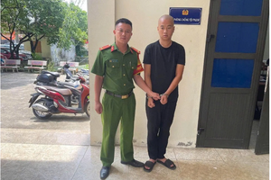 Khởi tố vụ án, tạm giữ hình sự người tháo trộm 2 bánh ôtô tại khu đô thị Thanh Hà