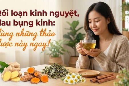 Rối loạn kinh nguyệt, đau bụng kinh: dùng những thảo dược này ngay!