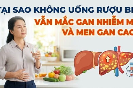 Tại sao không uống rượu bia vẫn mắc gan nhiễm mỡ và men gan cao?