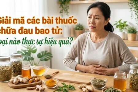 Giải mã các bài thuốc chữa đau bao tử: loại nào thực sự hiệu quả?