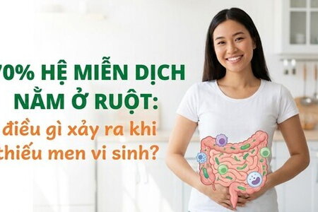 70% hệ miễn dịch nằm ở ruột: điều gì xảy ra khi thiếu men vi sinh?