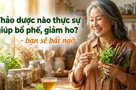 Thảo dược nào thực sự giúp bổ phế, giảm ho? - bạn sẽ bất ngờ