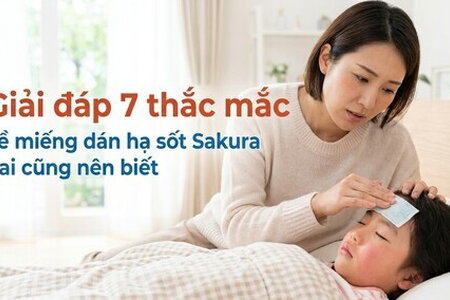 Giải đáp 7 thắc mắc về miếng dán hạ sốt Sakura - ai cũng nên biết