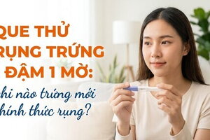 Que thử rụng trứng 1 đậm 1 mờ: khi nào trứng mới chính thức rụng?
