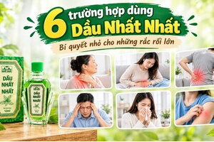 6 trường hợp dùng Dầu Nhất Nhất: Bí quyết nhỏ cho những rắc rối lớn