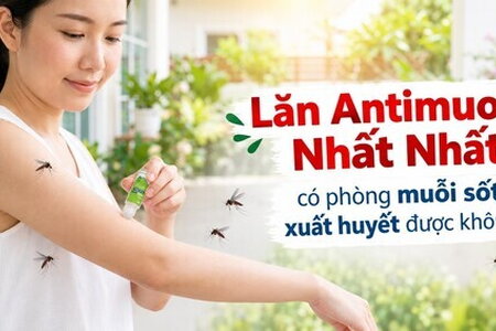 Lăn Antimuoi Nhất Nhất: có phòng muỗi sốt xuất huyết được không?