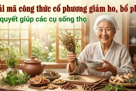 Giải mã công thức cổ phương giảm ho, bổ phế: bí quyết giúp sống thọ
