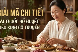 Giải mã chi tiết bài thuốc bổ huyết điều kinh cổ truyền
