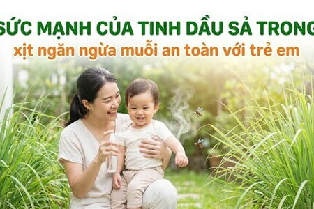 Sức mạnh của tinh dầu sả trong xịt ngăn ngừa muỗi an toàn với trẻ em
