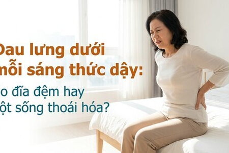 Đau lưng dưới mỗi sáng thức dậy: do đĩa đệm hay cột sống thoái hóa?