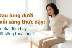 Đau lưng dưới mỗi sáng thức dậy: do đĩa đệm hay cột sống thoái hóa?