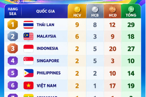 Thể thao Việt Nam hoành tráng ở SEA Games, nhưng vì sao lép vế trước láng giềng ở ASIAD 2026?
