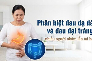 Phân biệt đau dạ dày và đau đại tràng: nhiều người nhầm lẫn tai hại