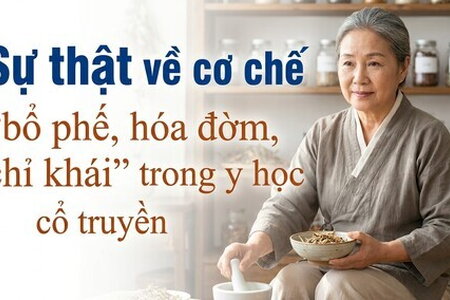 Sự thật về cơ chế "bổ phế, hóa đờm, chỉ khái" trong y học cổ truyền