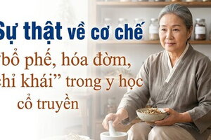 Sự thật về cơ chế "bổ phế, hóa đờm, chỉ khái" trong y học cổ truyền