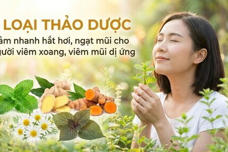 5 loại thảo dược giảm nhanh hắt hơi, ngạt mũi cho người viêm xoang