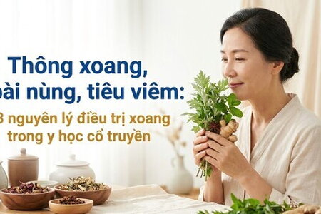 Thông xoang, bài nùng, tiêu viêm: 3 nguyên lý điều trị xoang