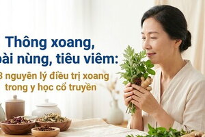 Thông xoang, bài nùng, tiêu viêm: 3 nguyên lý điều trị xoang