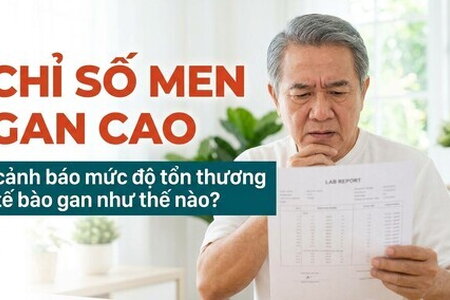 Chỉ số men gan cao cảnh báo mức độ tổn thương tế bào gan như thế nào?