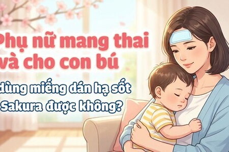 Phụ nữ mang thai, cho con bú dùng miếng dán hạ sốt sakura được không