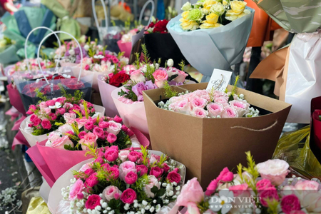 Thị trường hoa dịp 20/10: Khách mua đông, giá hoa không tăng 