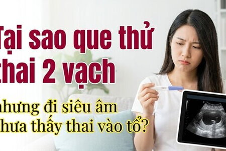 Tại sao que thử thai 2 vạch nhưng đi siêu âm chưa thấy thai vào tổ?