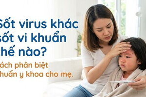 Sốt virus khác sốt vi khuẩn thế nào? cách phân biệt chuẩn y khoa
