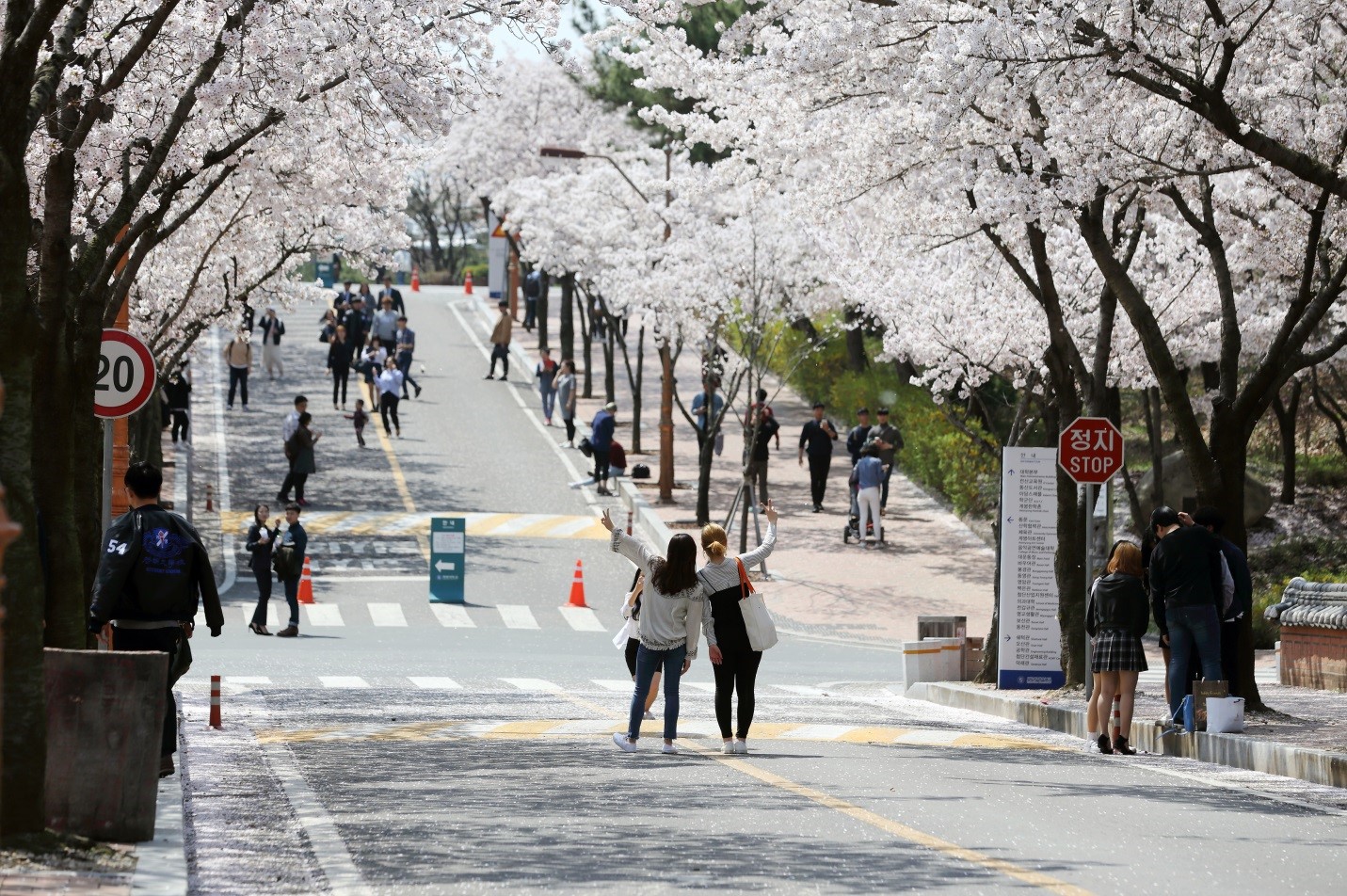 Hàn Quốc: Giáo dục đại học thu hút sinh viên nước ngoài