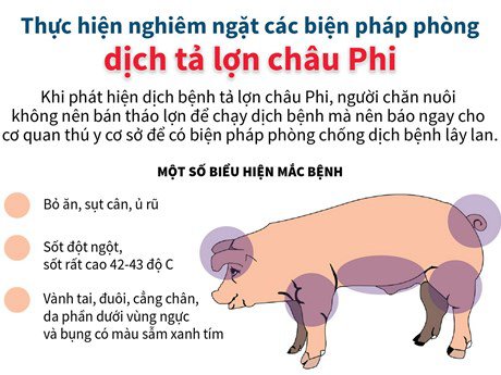 Dịch tả lợn châu Phi lan rộng rãi: Người dân cần cảnh giác cao độ