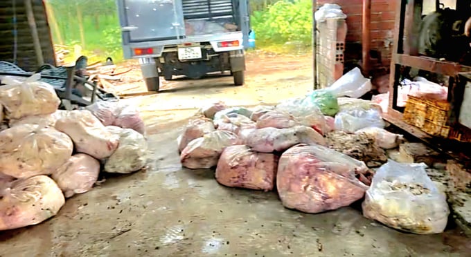 Đột kích cơ sở chế biến chui hơn 500 kg mỡ lợn bẩn