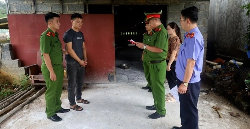 Khởi tố hai đối tượng giết mổ, tiêu thụ thịt lợn nhiễm dịch tả tại Lạng Sơn