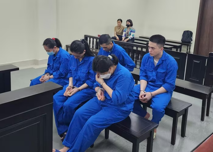 Khởi tố ổ nhóm “mẹ mìn” mua bán 12 bé sơ sinh qua Hội cho nhận con nuôi