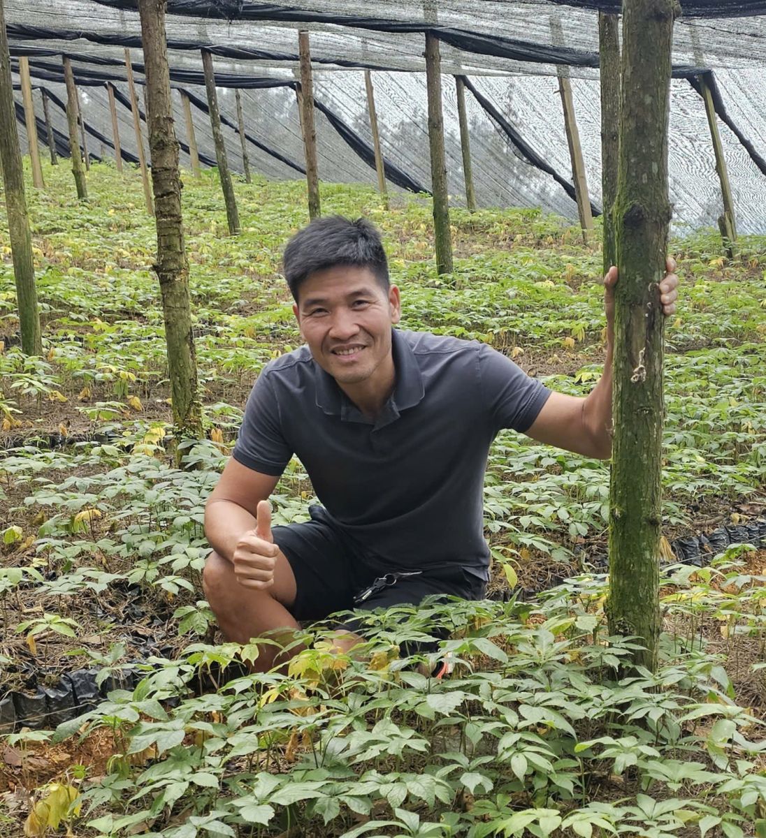 Người miệt mài “đánh thức” kho báu thảo dược quý ở Việt Nam