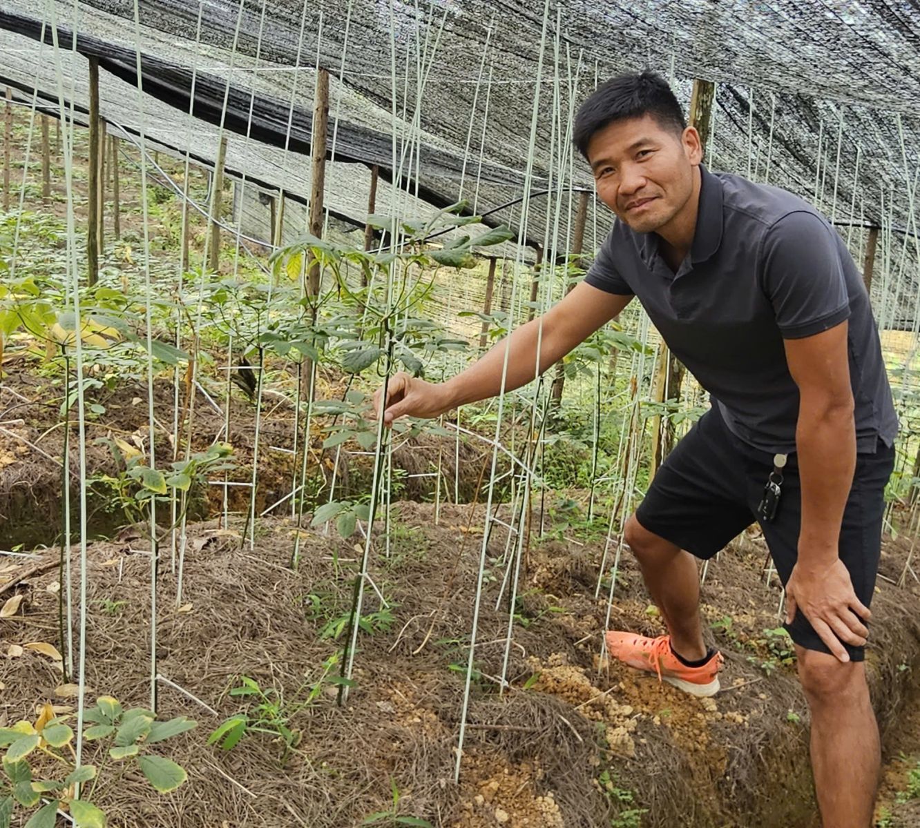 Người miệt mài “đánh thức” kho báu thảo dược quý ở Việt Nam