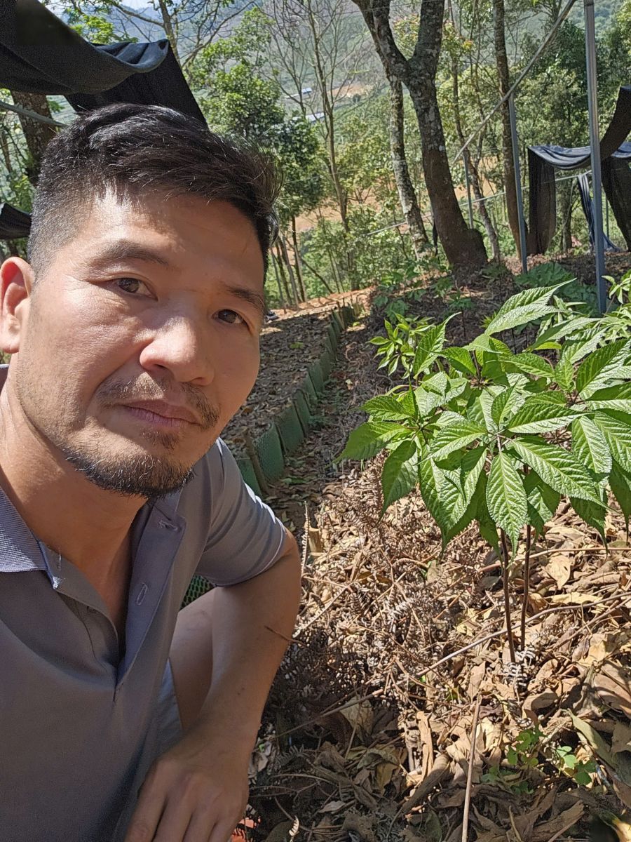 Người miệt mài “đánh thức” kho báu thảo dược quý ở Việt Nam