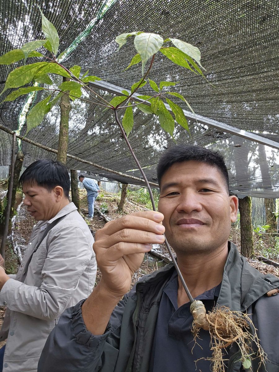 Người miệt mài “đánh thức” kho báu thảo dược quý ở Việt Nam