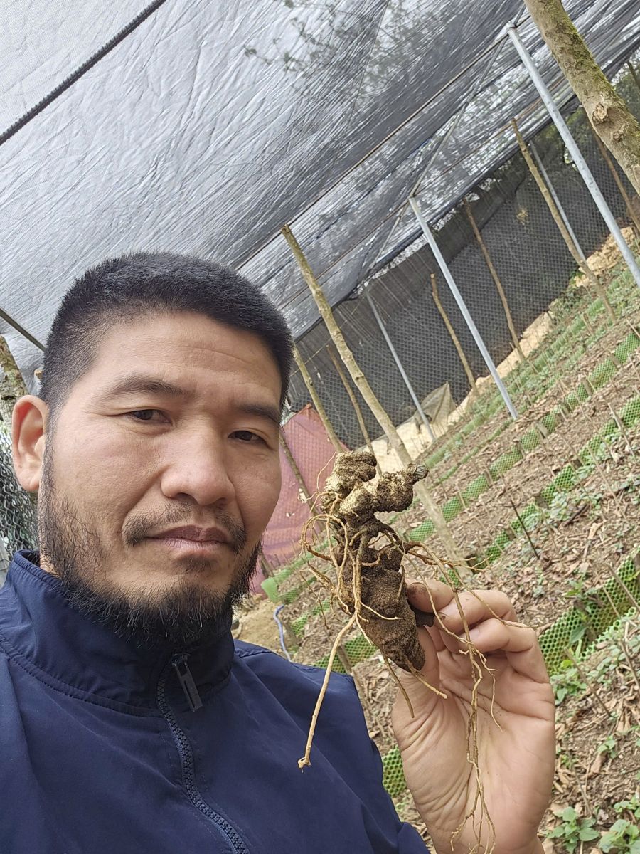 Người miệt mài “đánh thức” kho báu thảo dược quý ở Việt Nam